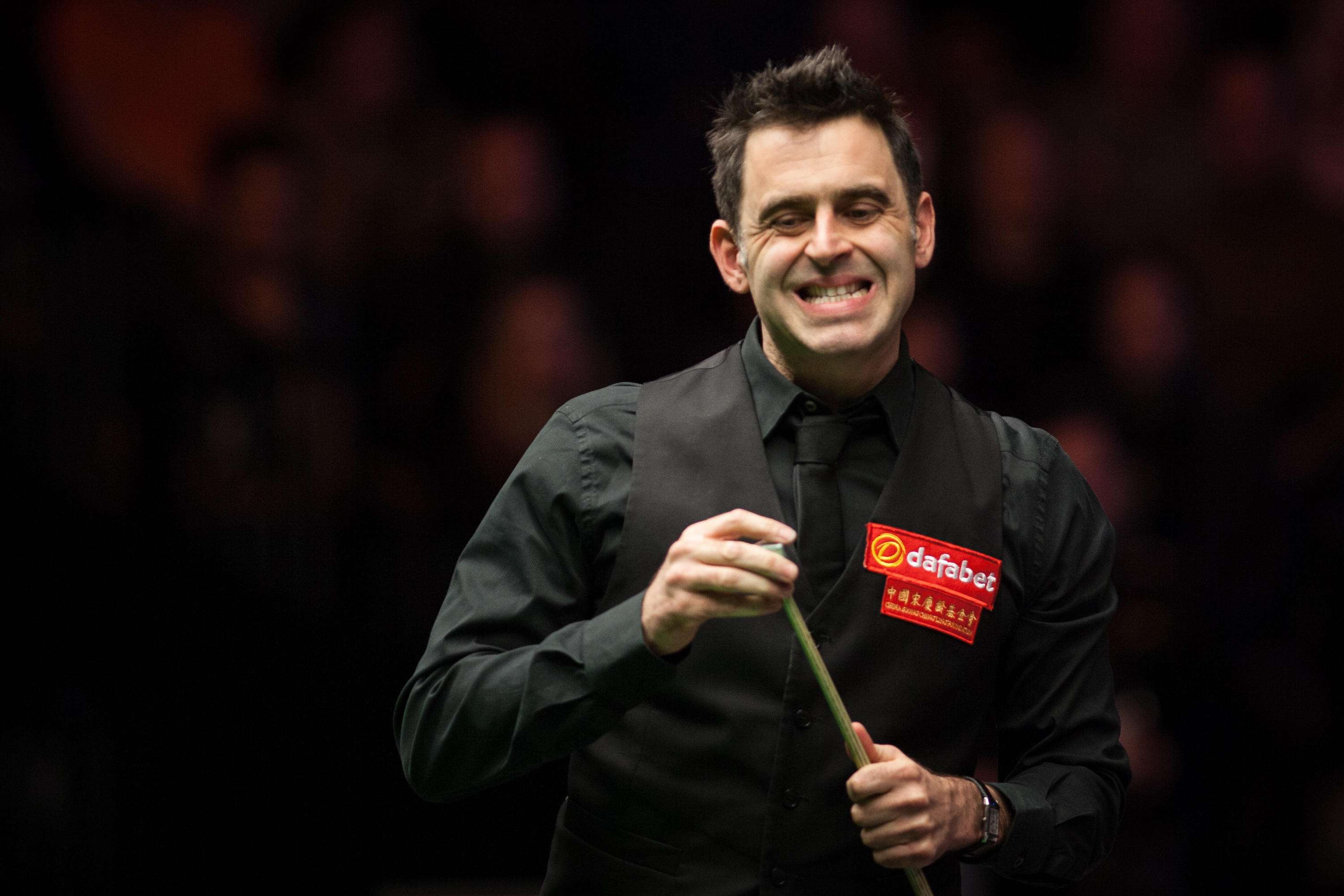 庞大的粉丝 庞大的粉丝