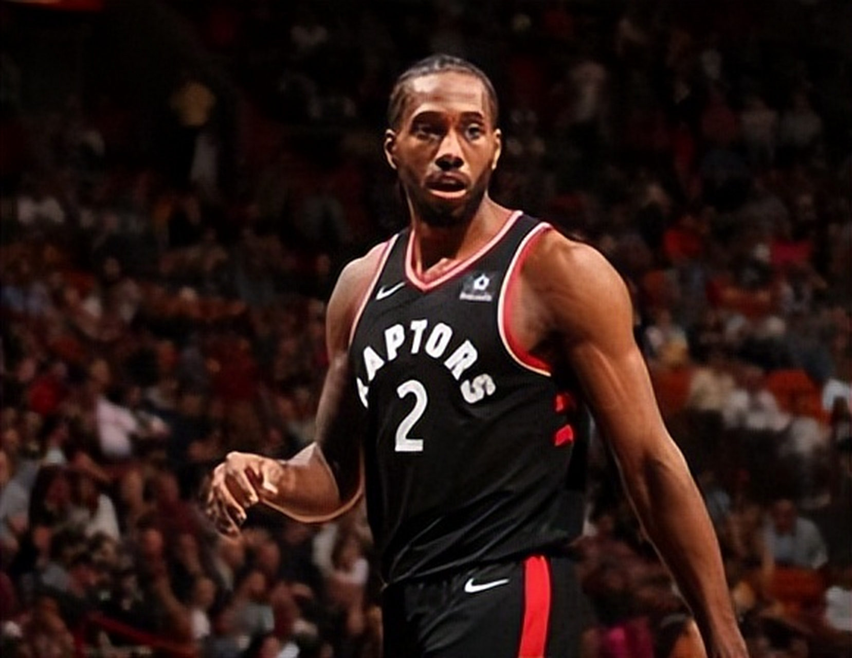 真正指向的 真正指向的