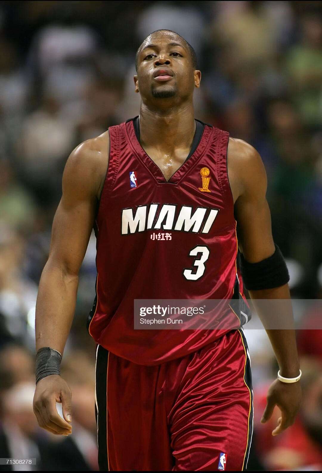 虚拟看台 虚拟看台